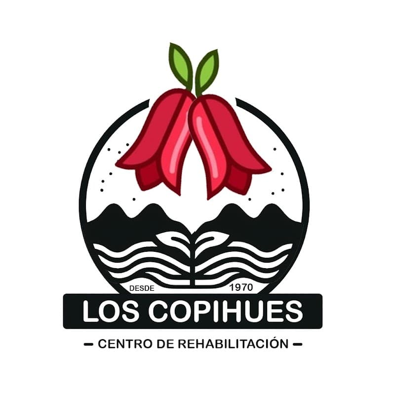 Centro de Rehabilitación de Alcohol y drogas los Copihues