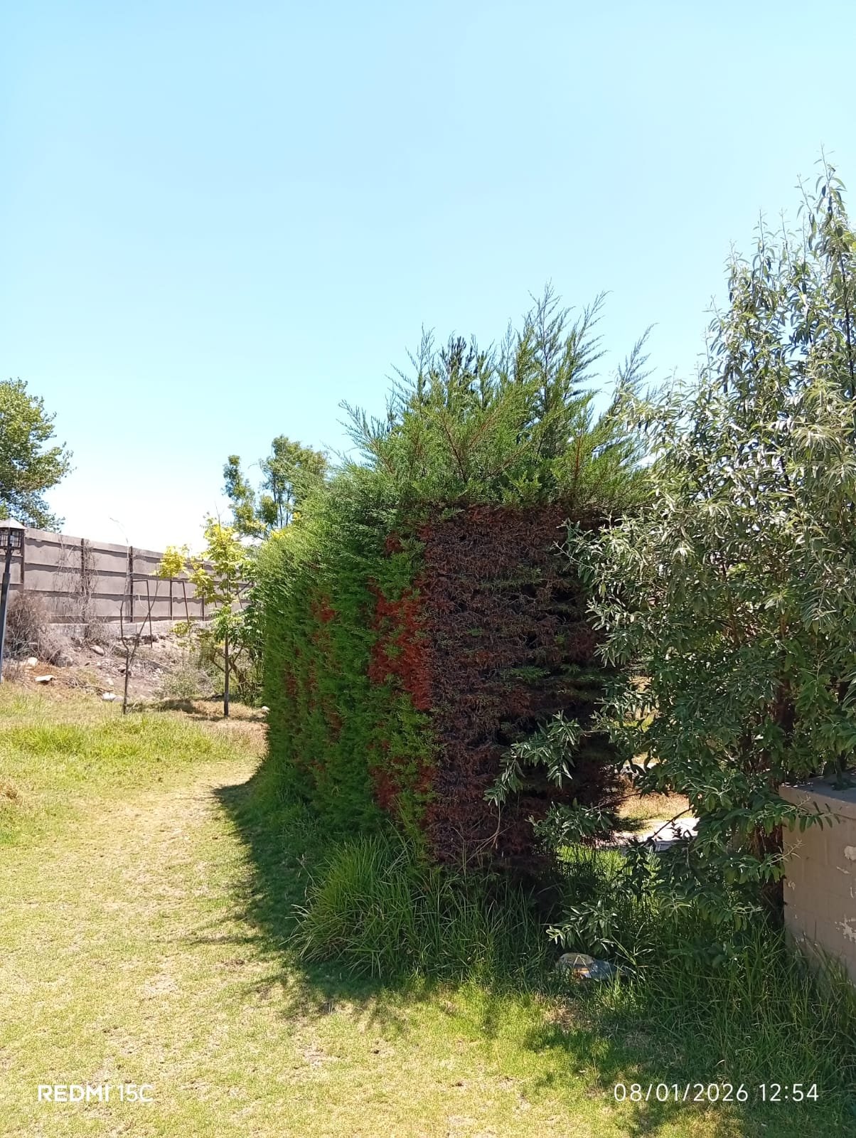 Centro de Rehabilitación Corazón del Valle / Tratamiento de Adicciones en La Serena foto 4