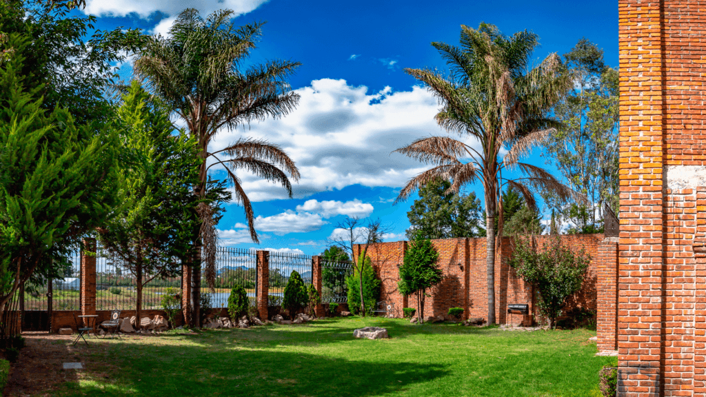 Clínica Akasha México | Centro Holístico de Rehabilitación, Salud Mental y Adicciones