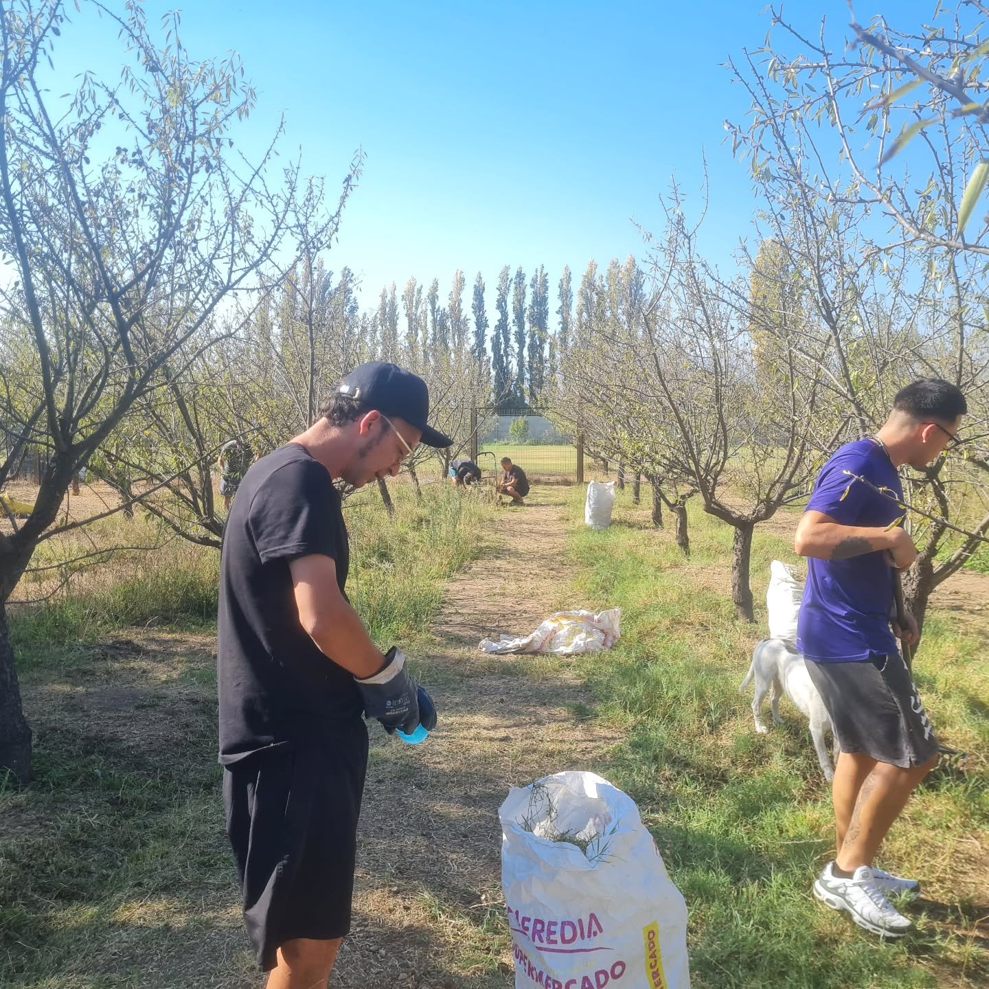 Comunidad Terapéutica Stoá – Centro de Rehabilitación foto 4