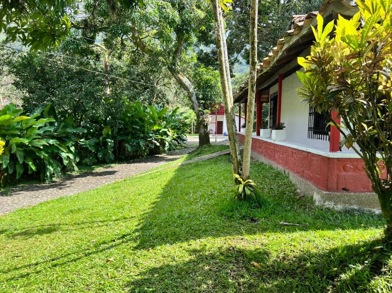 Brújula Salud Mental IPS | Centro rehabilitación adicciones Medellín Colombia foto 4