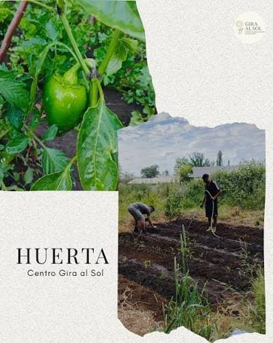 Gira al Sol Los Ángeles | Rehabilitación Hombres Biobío foto 3